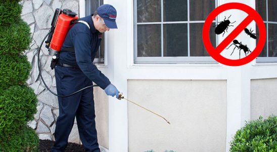 Sakarya Uçan Haşere İlaçlama böcek ilaçlama ve haşere kontrolü — ilaclama-tr.com